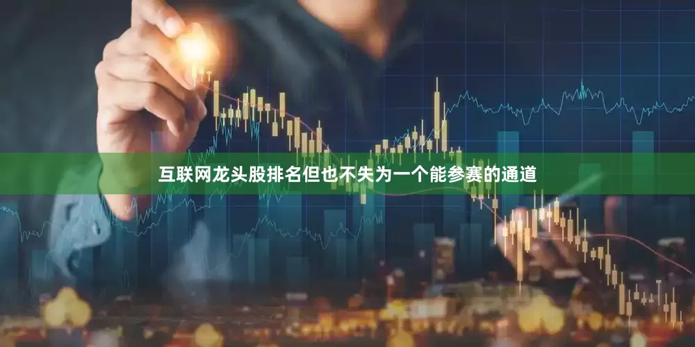 互联网龙头股排名但也不失为一个能参赛的通道